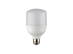 Noas E27 Duy 20 Watt 1980 Lümen 3200K Günışığı Torch Led Ampul