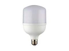 Noas E27 Duy 30 Watt 2930 Lümen 3200K Günışığı Torch Led Ampul
