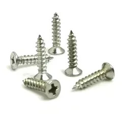2.5x10mm ağaç vidası - 100 adet